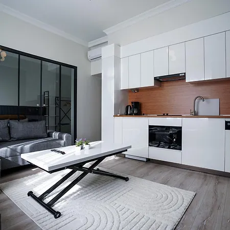 Ξενοδοχείο με διαμερίσματα Merkuri